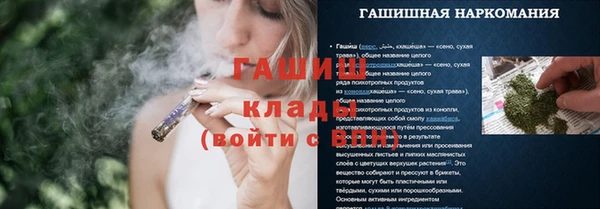 прущие грибы Новодвинск