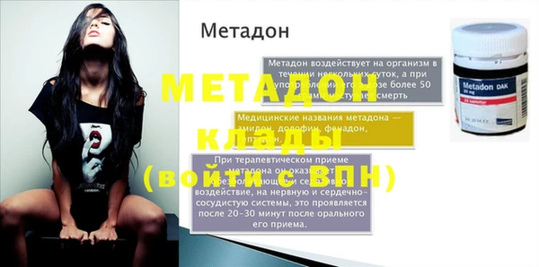прущие грибы Новодвинск