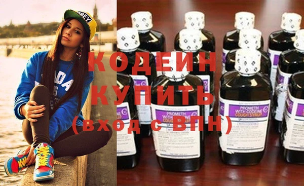 прущие грибы Новодвинск