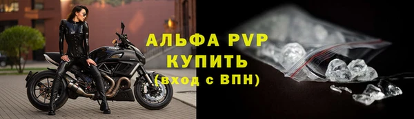 apvp Вяземский